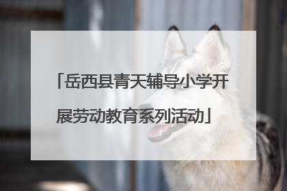 岳西县青天辅导小学开展劳动教育系列活动