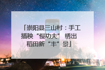 崇阳县三山村：手工插秧“慢功夫” 绣出稻田新“丰”景