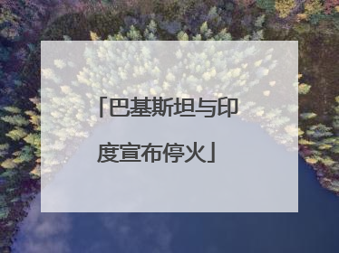 巴基斯坦与印度宣布停火