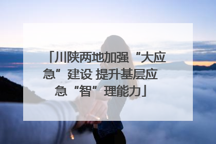 川陕两地加强“大应急”建设 提升基层应急“智”理能力
