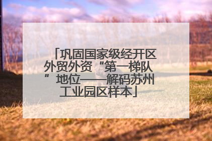 巩固国家级经开区外贸外资“第一梯队”地位——解码苏州工业园区样本