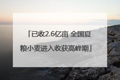 已收2.6亿亩 全国夏粮小麦进入收获高峰期