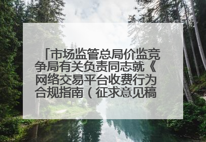 市场监管总局价监竞争局有关负责同志就《网络交易平台收费行为合规指南（征求意见稿）》答记者问
