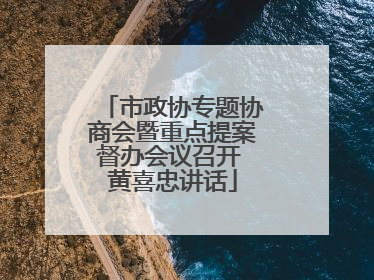 市政协专题协商会暨重点提案督办会议召开 黄喜忠讲话