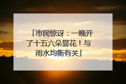 市民惊讶：一晚开了十五六朵昙花！与雨水均衡有关