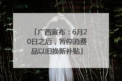 广西宣布：6月20日之后，暂停消费品以旧换新补贴