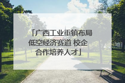 广西工业重镇布局低空经济赛道 校企合作培养人才