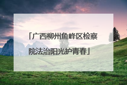 广西柳州鱼峰区检察院法治阳光护青春