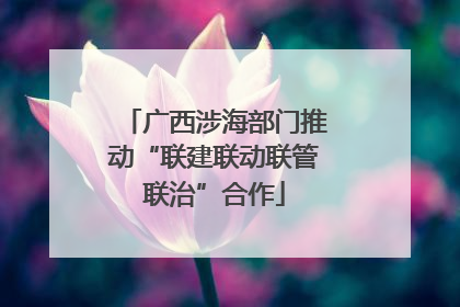 广西涉海部门推动“联建联动联管联治”合作