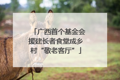 广西首个基金会援建长者食堂成乡村“敬老客厅”