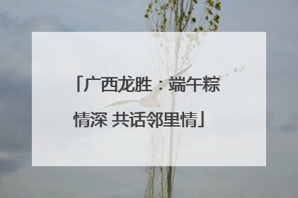 广西龙胜：端午粽情深 共话邻里情