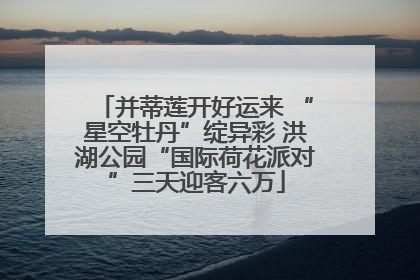并蒂莲开好运来 “星空牡丹”绽异彩 洪湖公园“国际荷花派对”三天迎客六万