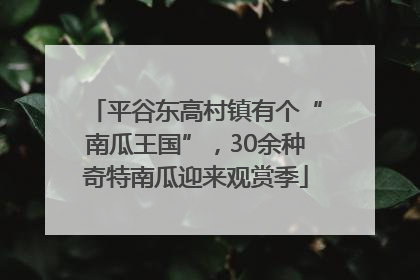 平谷东高村镇有个“南瓜王国”，30余种奇特南瓜迎来观赏季