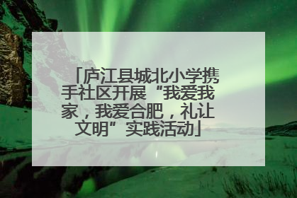 庐江县城北小学携手社区开展“我爱我家，我爱合肥，礼让文明”实践活动