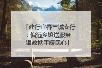 建行宜春丰城支行：偏远乡镇送服务 银政携手暖民心