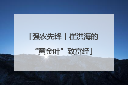 强农先锋丨崔洪海的“黄金叶”致富经