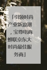 引领时尚产业新浪潮，宝尊电商蝉联京东大时尚最佳服务商