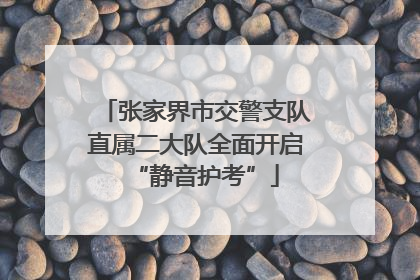 张家界市交警支队直属二大队全面开启“静音护考”