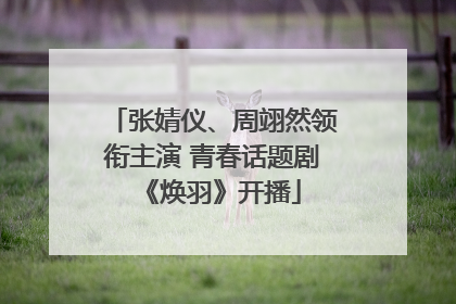 张婧仪、周翊然领衔主演 青春话题剧《焕羽》开播