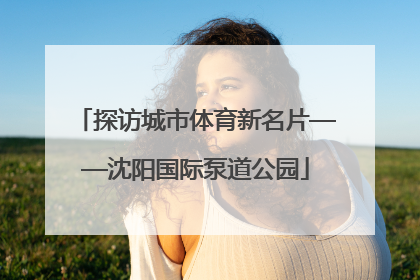 探访城市体育新名片——沈阳国际泵道公园