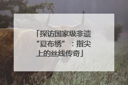 探访国家级非遗“夏布绣”：指尖上的丝线传奇