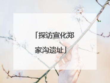 探访宣化郑家沟遗址