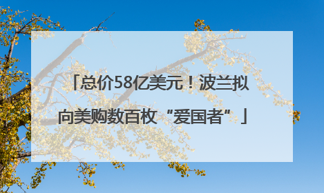 总价58亿美元！波兰拟向美购数百枚“爱国者”