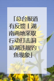总台报道有反馈丨湖南两地采取行动打击洞庭湖违规钓鱼现象