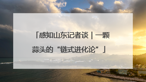 感知山东记者谈｜一颗蒜头的“链式进化论”