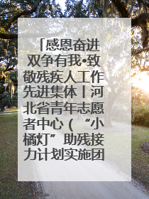 感恩奋进 双争有我•致敬残疾人工作先进集体丨河北省青年志愿者中心（“小橘灯”助残接力计划实施团队）：用温暖陪伴，守护特殊孩子成长