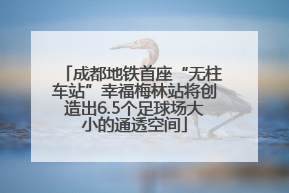 成都地铁首座“无柱车站”幸福梅林站将创造出6.5个足球场大小的通透空间