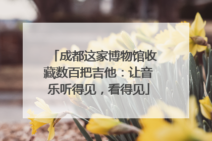 成都这家博物馆收藏数百把吉他：让音乐听得见，看得见
