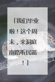 我们毕业啦！这个周末，来洞庭南路听民谣！