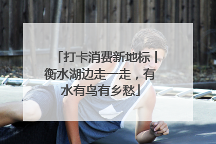 打卡消费新地标丨衡水湖边走一走，有水有鸟有乡愁