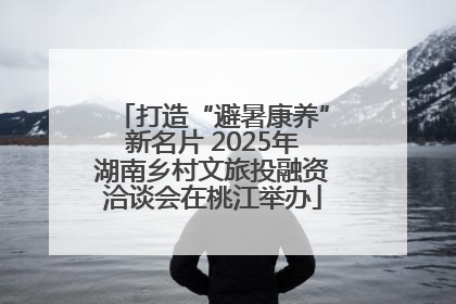 打造“避暑康养”新名片 2025年湖南乡村文旅投融资洽谈会在桃江举办