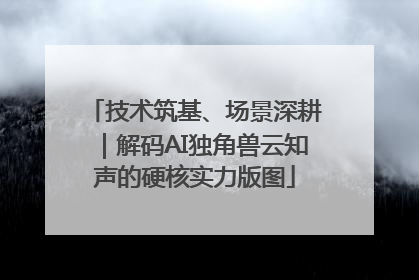 技术筑基、场景深耕｜解码AI独角兽云知声的硬核实力版图