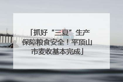 抓好“三夏”生产 保障粮食安全！平顶山市麦收基本完成