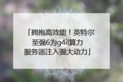 拥抱高效能！英特尔至强6为g4il算力服务器注入强大动力