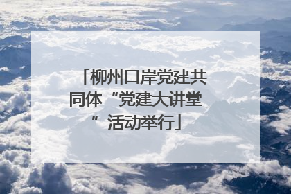 柳州口岸党建共同体“党建大讲堂”活动举行