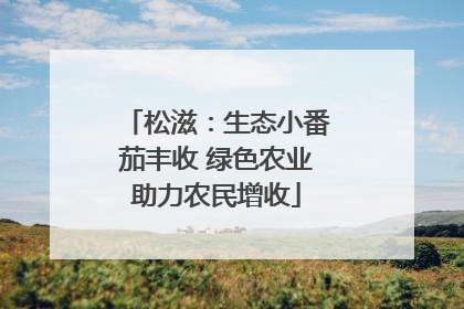 松滋：生态小番茄丰收 绿色农业助力农民增收