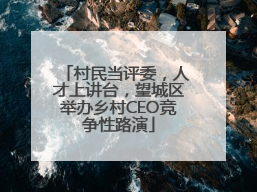 村民当评委，人才上讲台，望城区举办乡村CEO竞争性路演