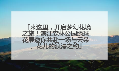 来这里，开启梦幻花境之旅！滨江森林公园绣球花展邀你共赴一场与云朵、花儿的浪漫之约
