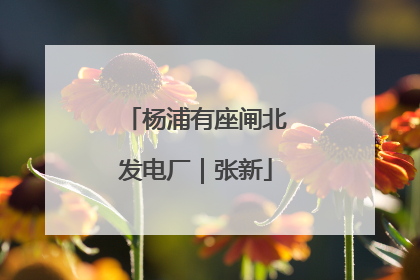 杨浦有座闸北发电厂｜张新