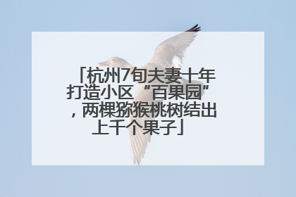 杭州7旬夫妻十年打造小区“百果园”，两棵猕猴桃树结出上千个果子