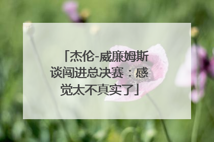 杰伦-威廉姆斯谈闯进总决赛：感觉太不真实了