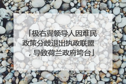 极右翼领导人因难民政策分歧退出执政联盟，导致荷兰政府垮台