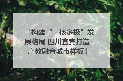 构建“一核多极”发展格局 四川宜宾打造产教融合城市样板