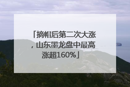 摘帽后第二次大涨，山东墨龙盘中最高涨超160%