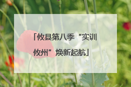 攸县第八季“实训攸州”焕新起航