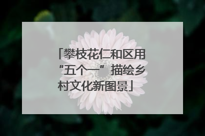 攀枝花仁和区用“五个一”描绘乡村文化新图景